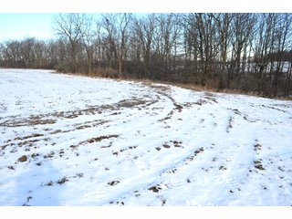 54.7 Acres with 50 tillable and 4.3 wooded.  Surrounded by heavy deer population on CRP land.  Great trophy deer hunting on established food plots.  Hunting tower.

Receive income on tillable acres while abundance of deer hunting on established food plot. - Great Investment Opportunity - Tillable Land, Recreation & Building Site